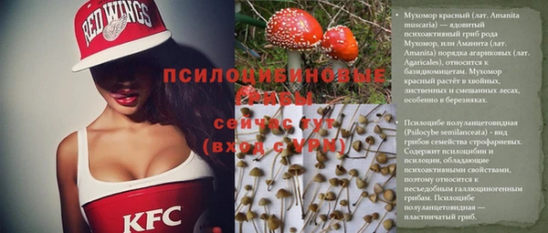 винт Слюдянка