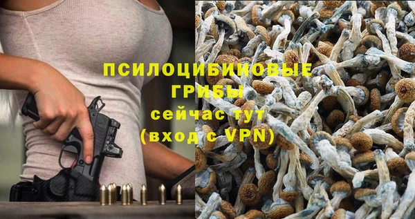 МДПВ Абаза