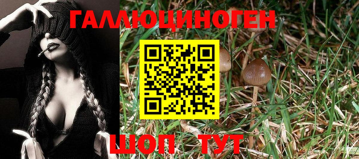 Галлюциногенные грибы прущие грибы Лангепас